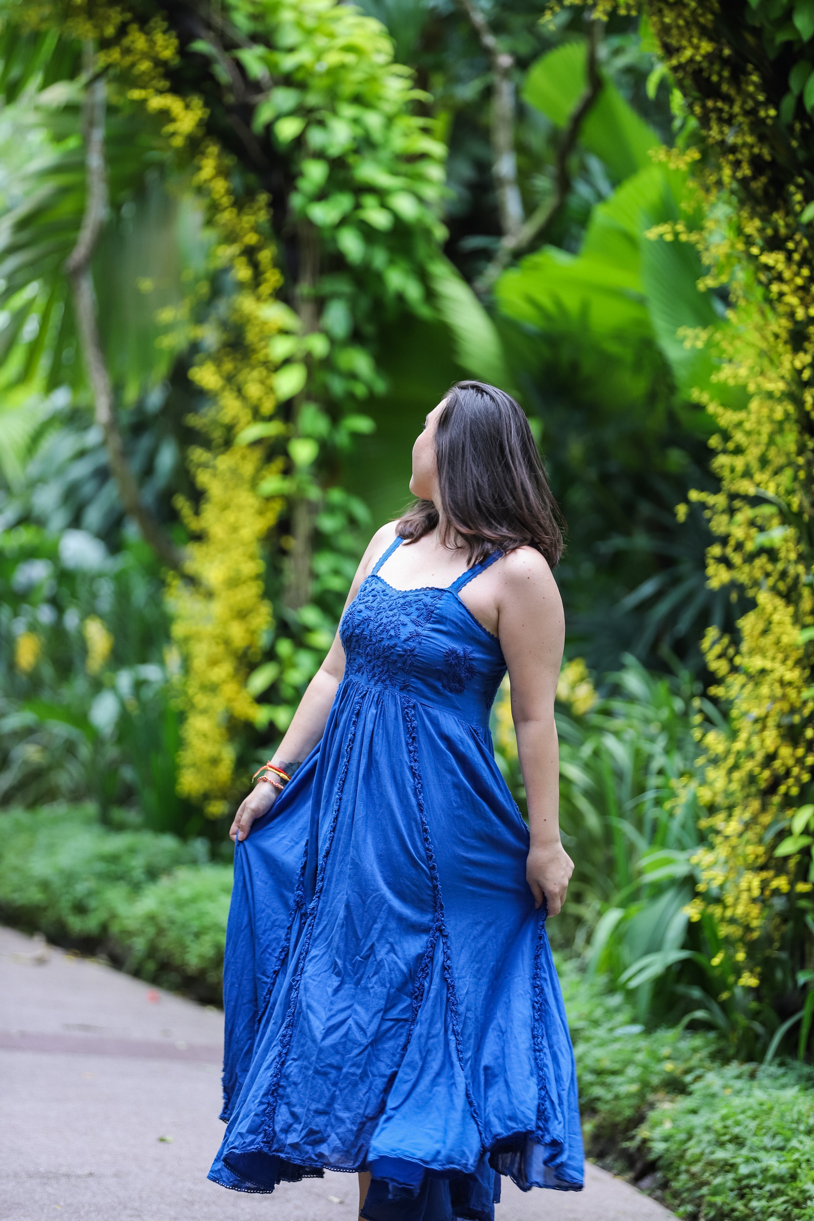 Begonia Maxi